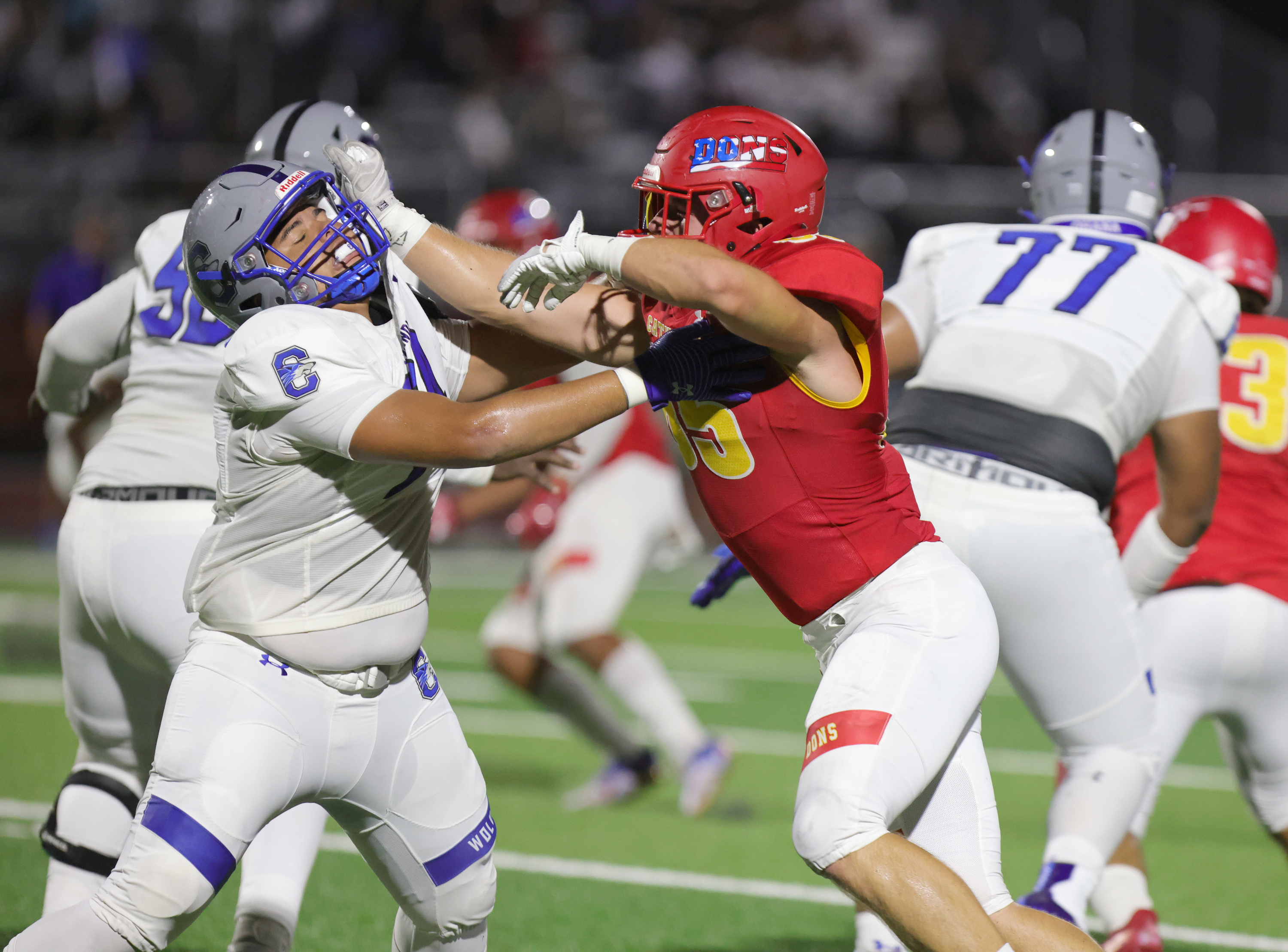 Chandler_at_Cathedral_CatholicA4087